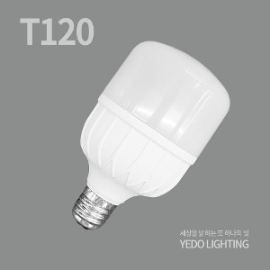 T램프 T120 LED40W(E39)
