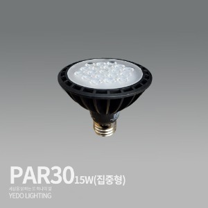 PAR30 LED15W (집중형)